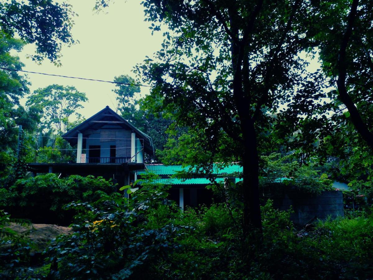 Habarana Dulwan Guest House ภายนอก รูปภาพ