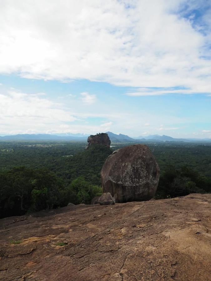 Habarana Dulwan Guest House ภายนอก รูปภาพ