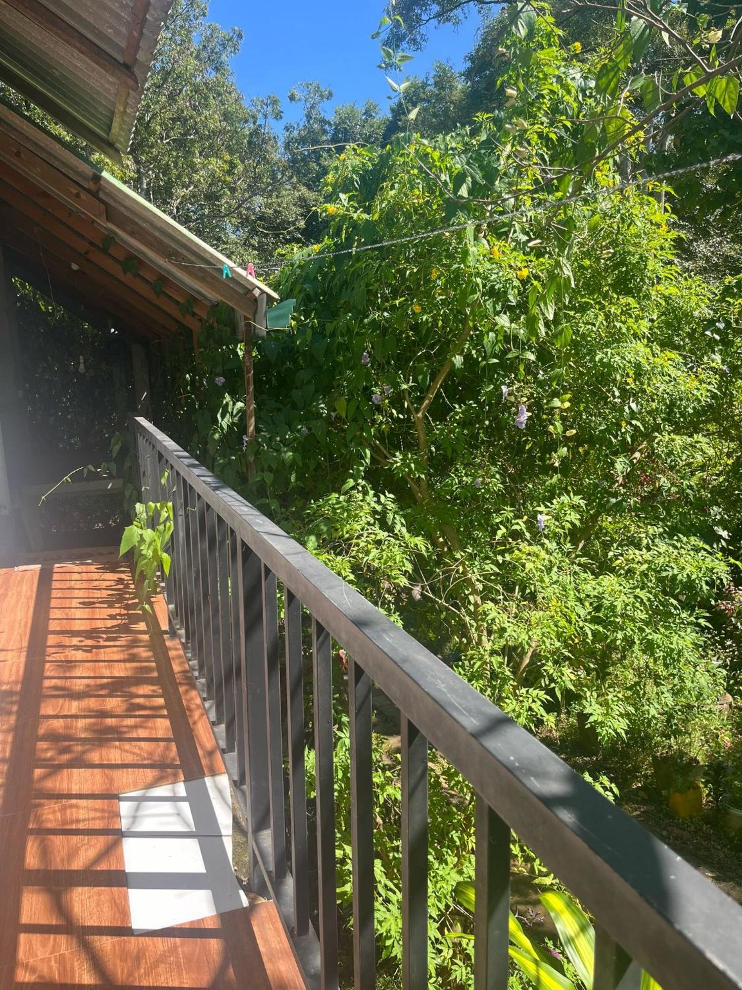 Habarana Dulwan Guest House ห้อง รูปภาพ